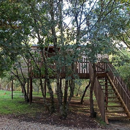 Glamping Cabanas das Chousas Lugo Exterior foto